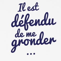 Body bébé Il est défendu de me gronder !