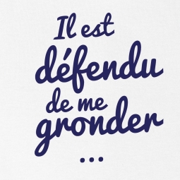 T shirt bébé Il est défendu de me gronder !